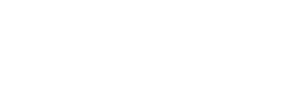The Graphic Vine - Website Design & Hosting